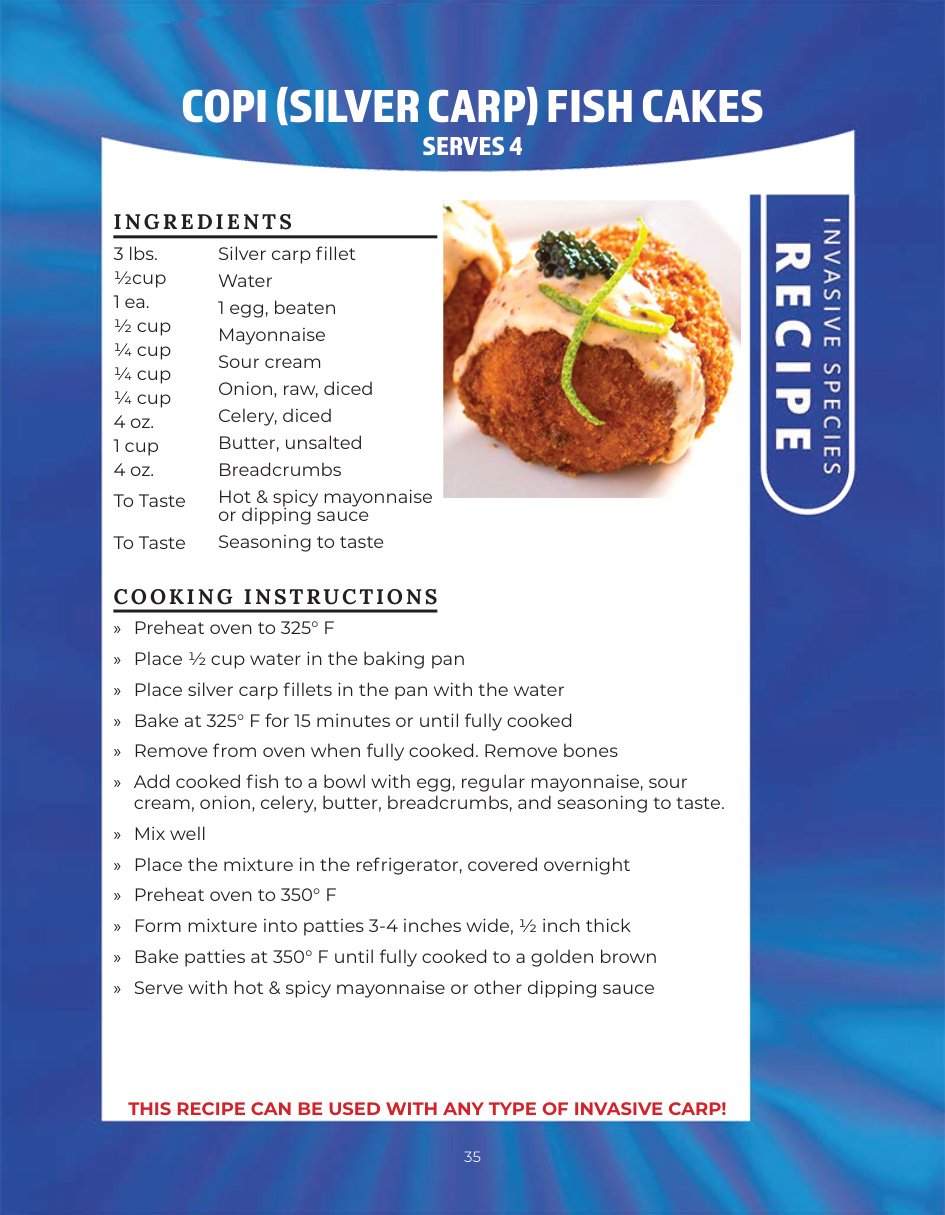 Original recipe page: COPI (SILVER CARP) FISH CAKES