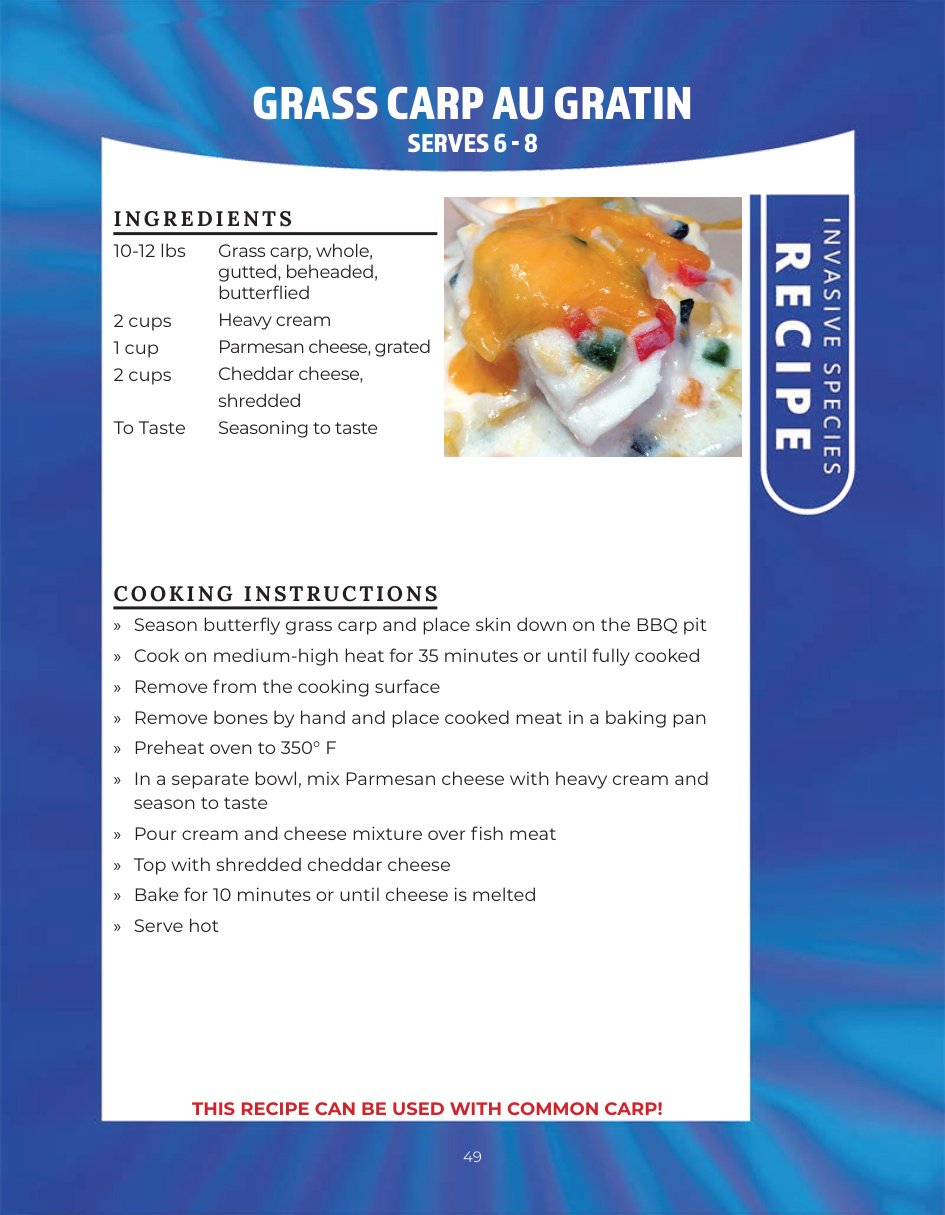 Original recipe page: GRASS CARP AU GRATIN
