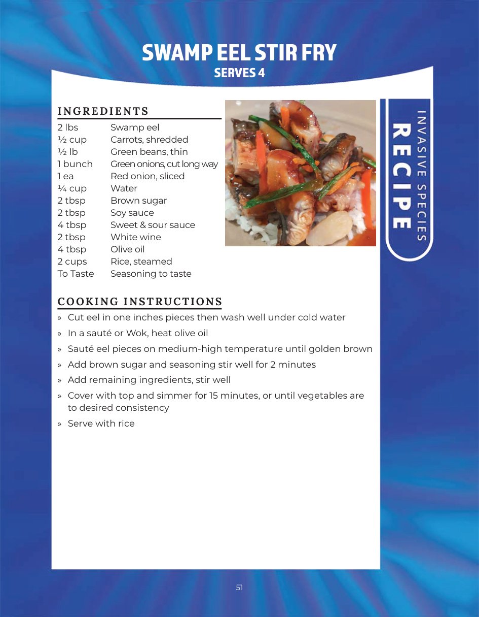 Original recipe page: SWAMP EEL STIR FRY