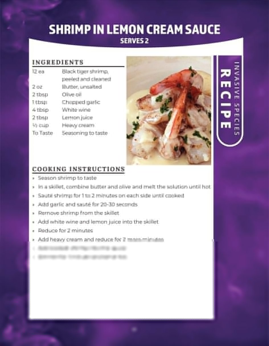 Original recipe page: SHRIMP IN LEMON CREAM SAUCE