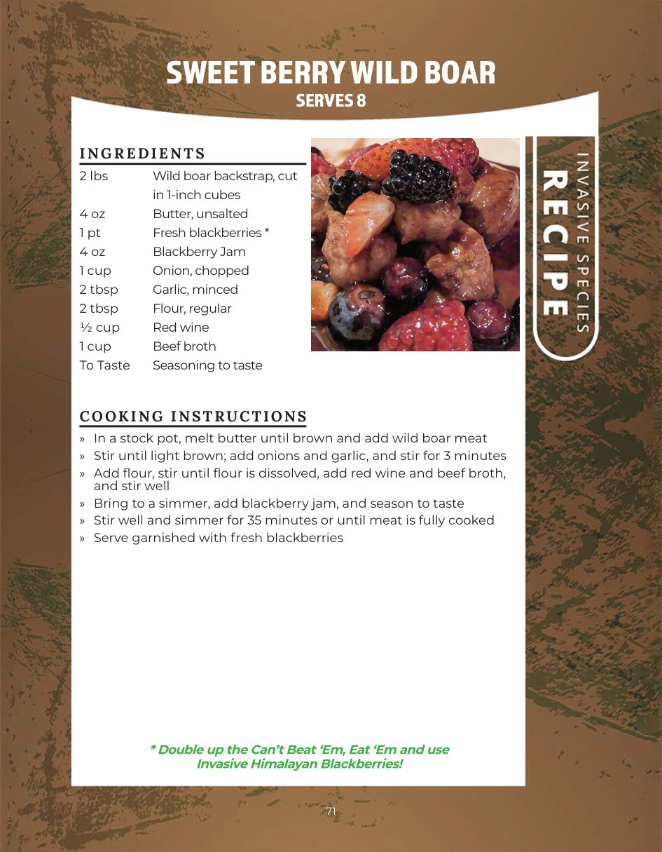 Original recipe page: SWEET BERRY WILD BOAR