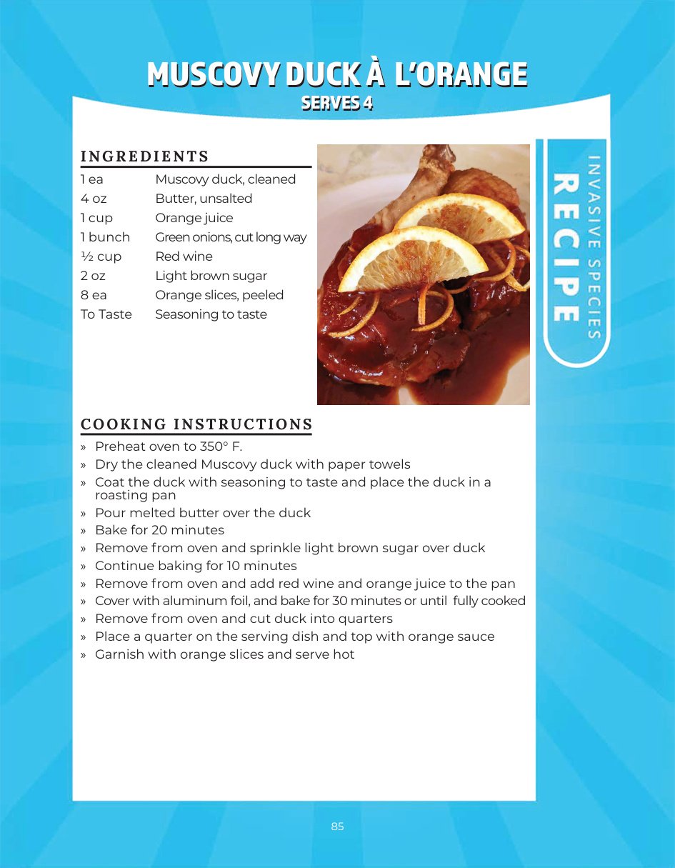 Original recipe page: MUSCOVY DUCK À L’ORANGE