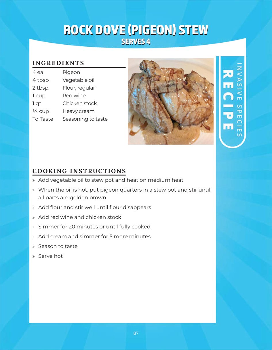 Original recipe page: ROCK DOVE (PIGEON) STEW