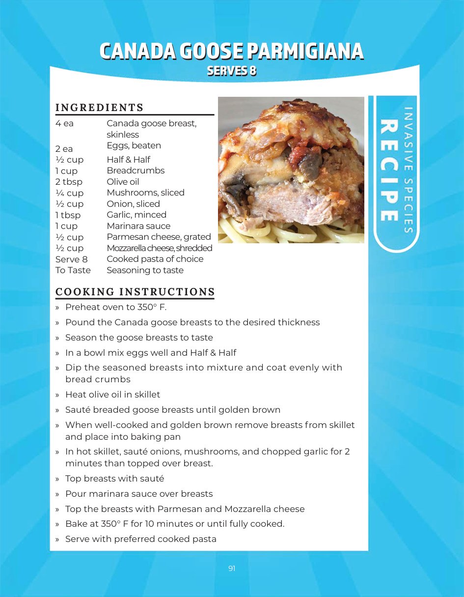 Original recipe page: CANADA GOOSE PARMIGIANA