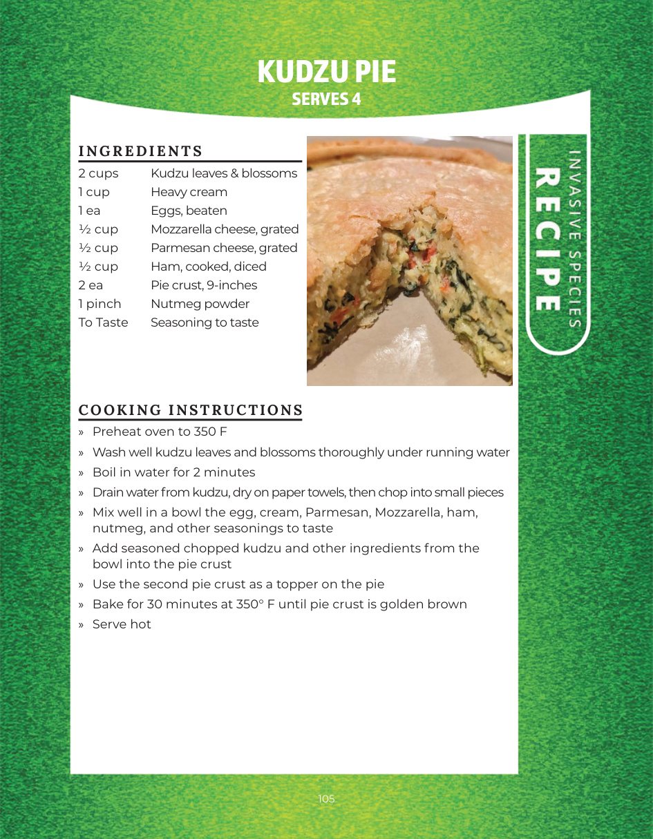 Original recipe page: KUDZU PIE