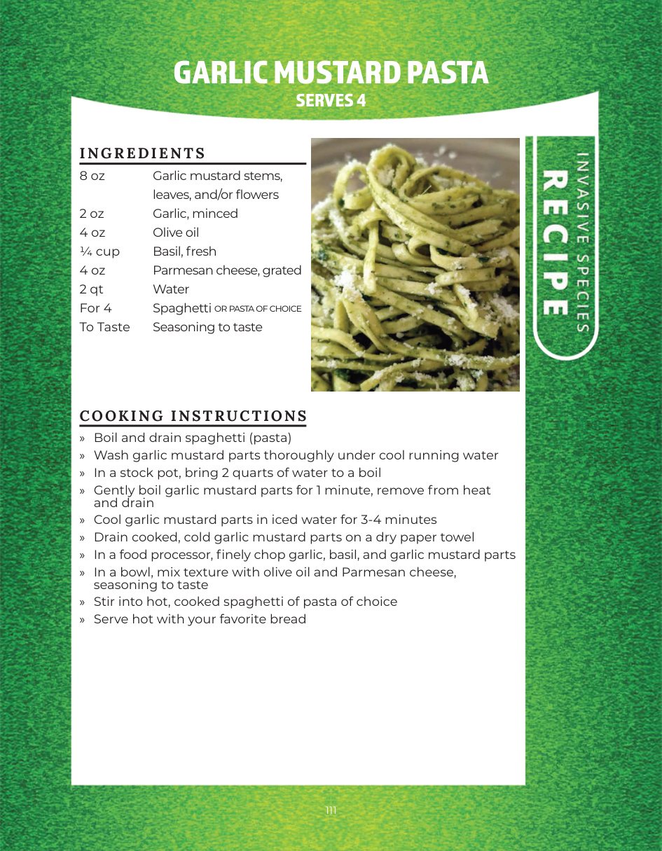 Original recipe page: GARLIC MUSTARD PASTA