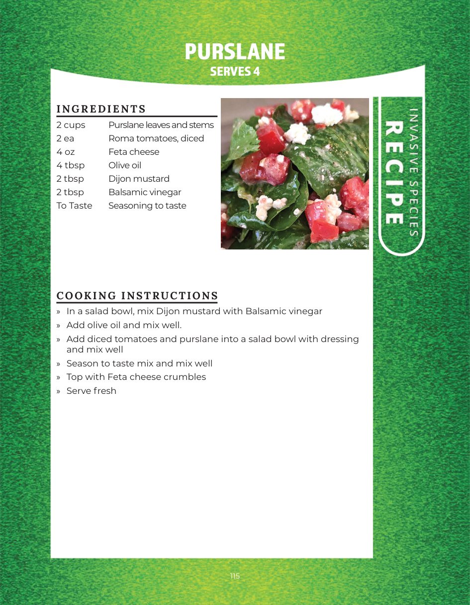 Original recipe page: PURSLANE