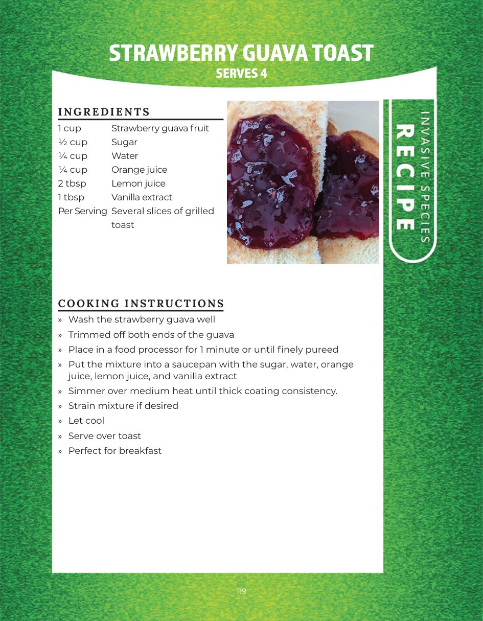 Original recipe page: STRAWBERRY GUAVA TOAST