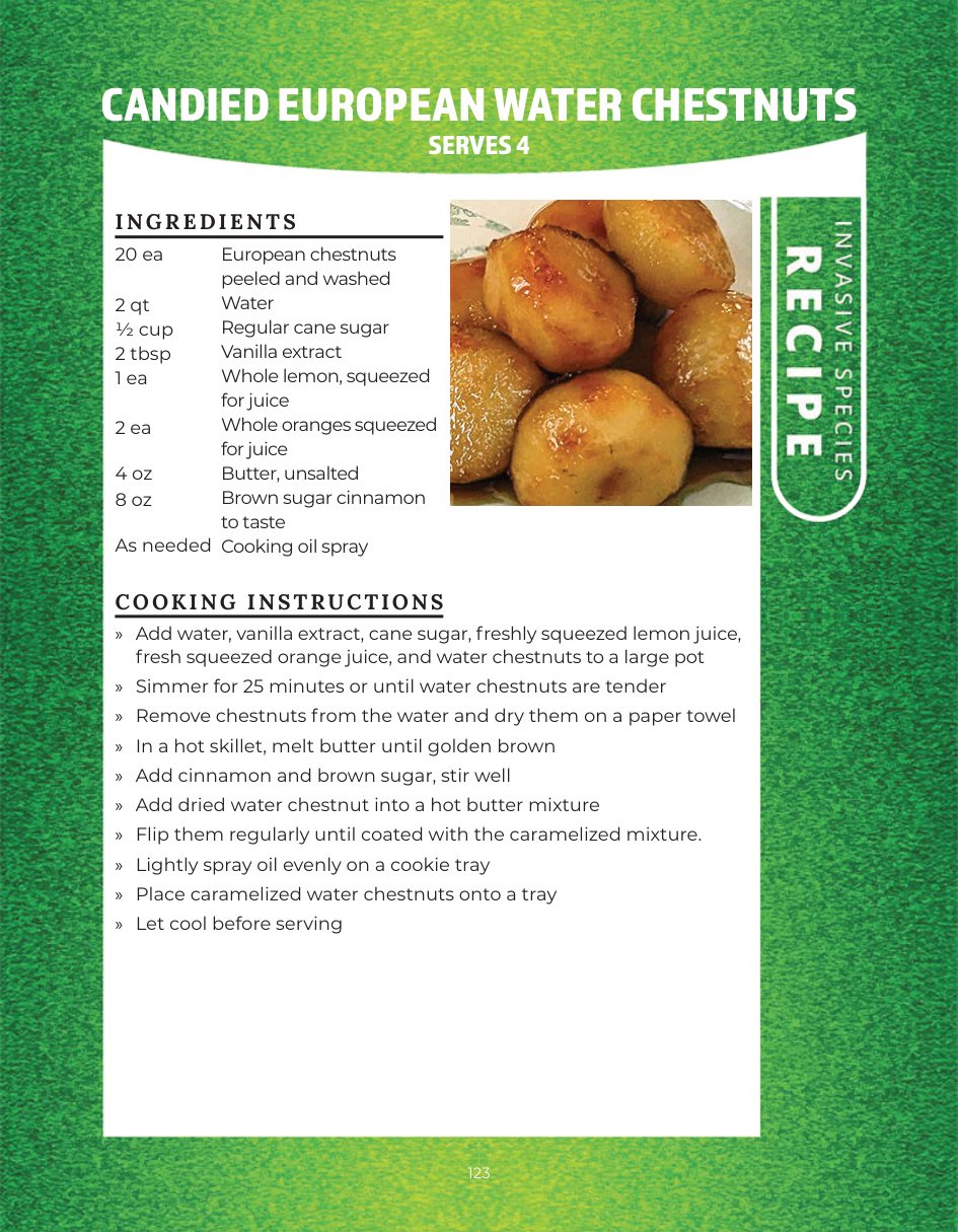 Original recipe page: CANDIED EUROPEAN WATER CHESTNUTS